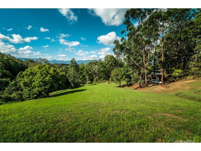 Real Estate in Bellingen