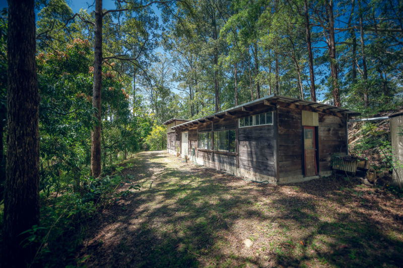 Real Estate in Bellingen