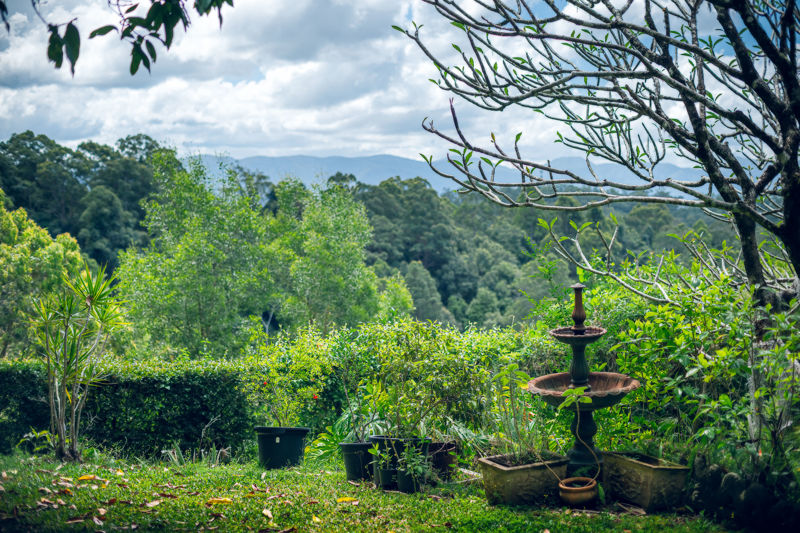 Real Estate in Bellingen