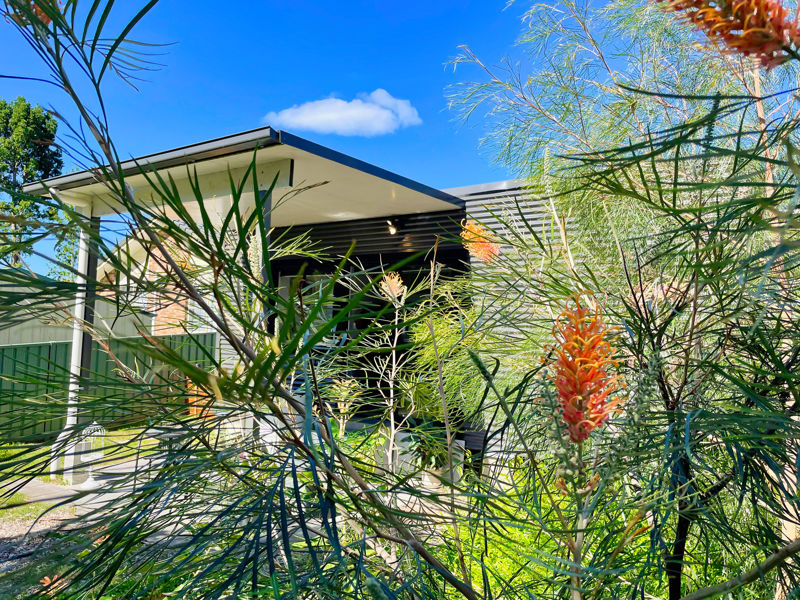 Real Estate in Bellingen