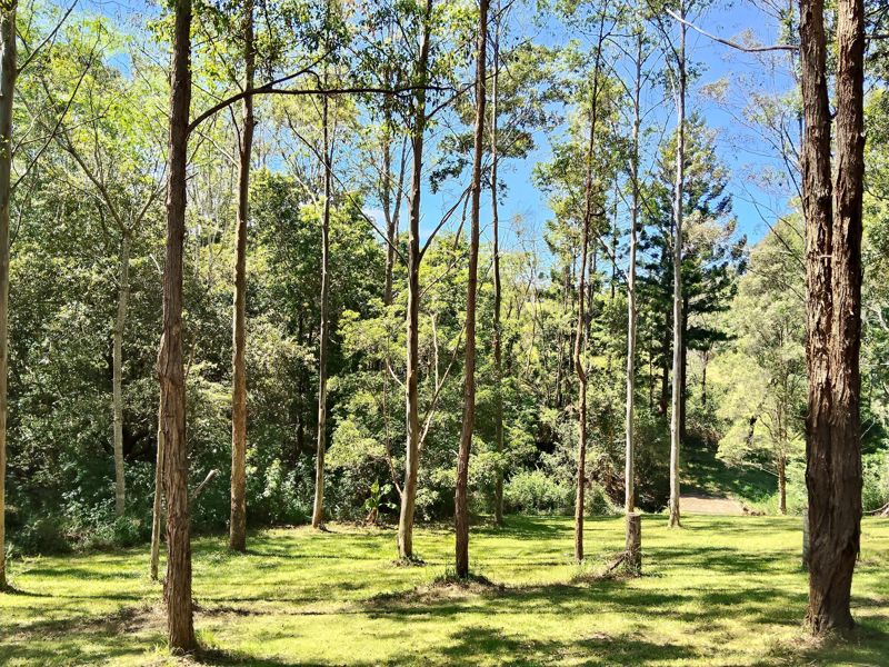 Real Estate in Bellingen