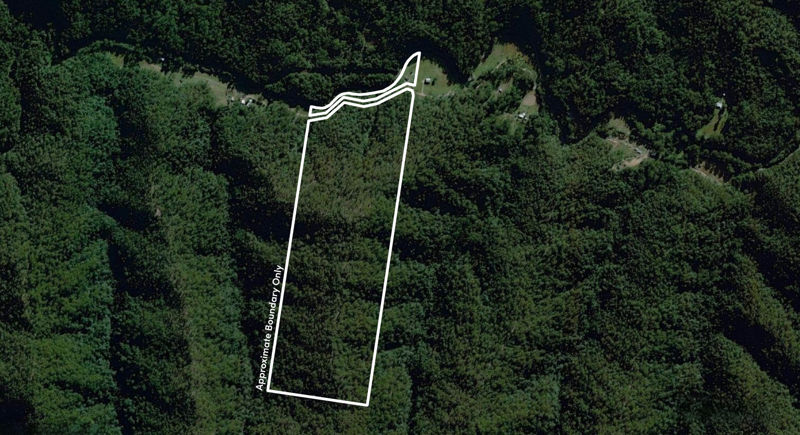 Real Estate in Bellingen