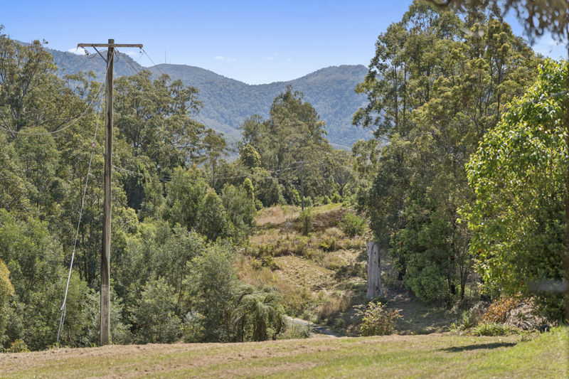 Real Estate in Bellingen