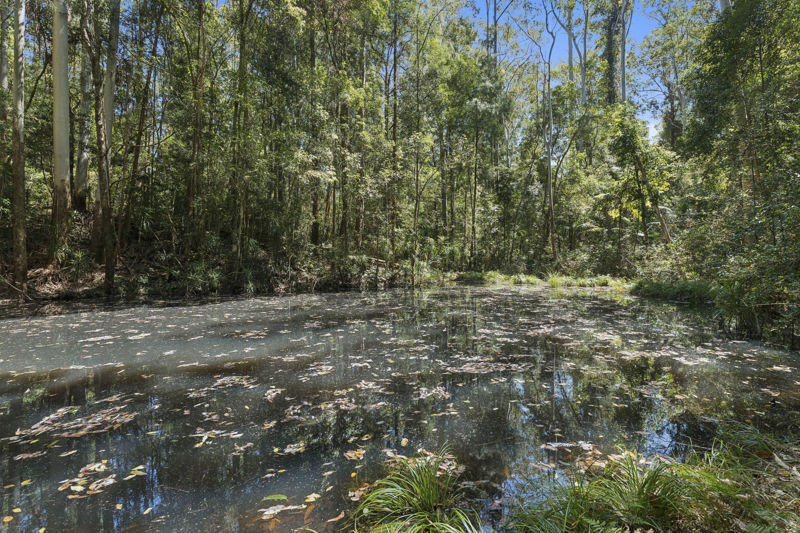 Real Estate in Bellingen