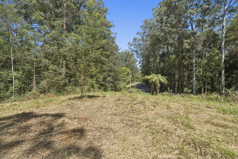 Real Estate in Bellingen
