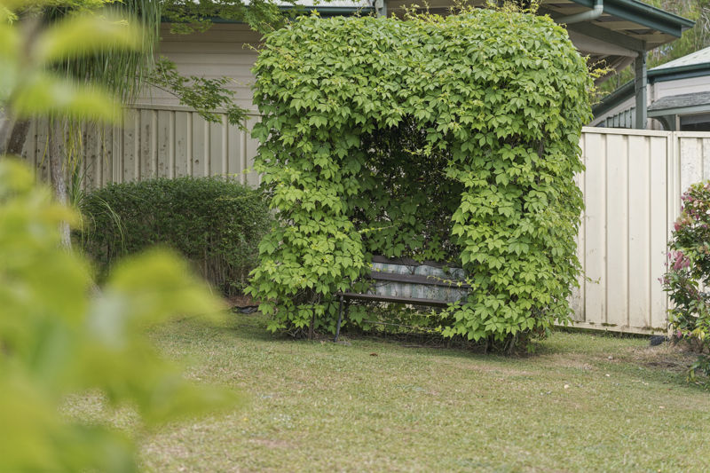 Real Estate in Bellingen