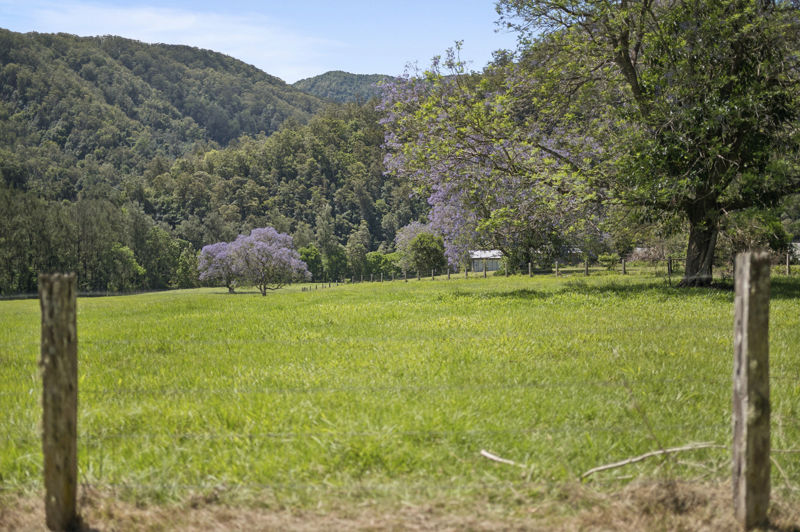 Real Estate in Bellingen