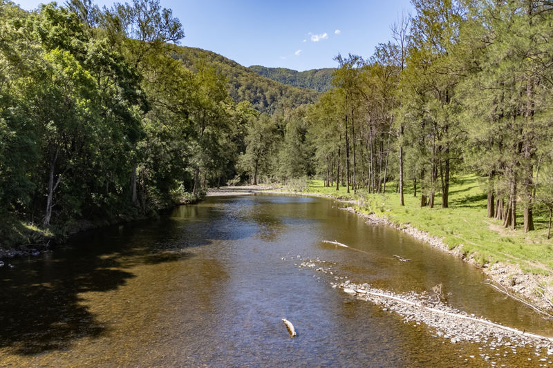 Real Estate in Bellingen