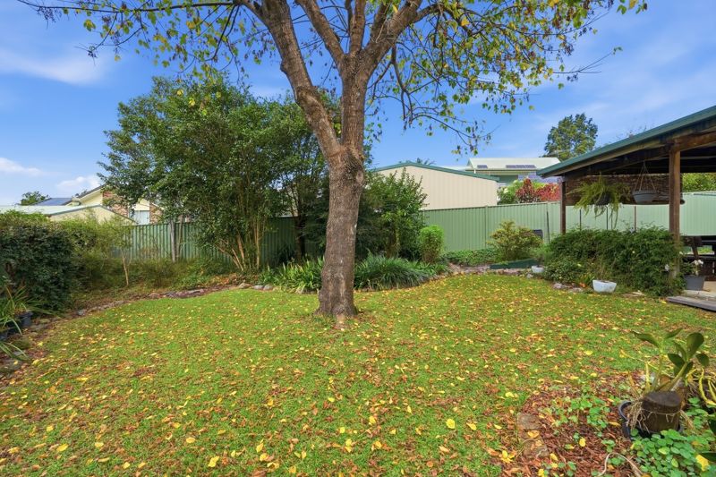 Real Estate in Bellingen