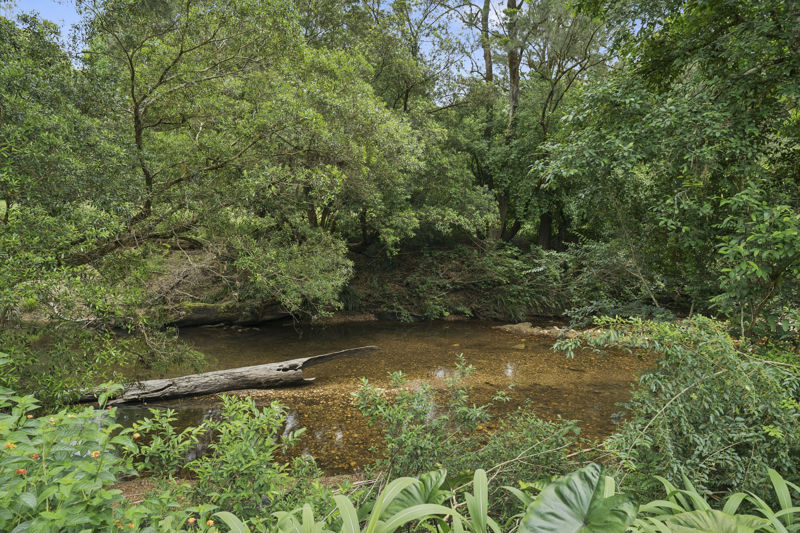 Real Estate in Bellingen