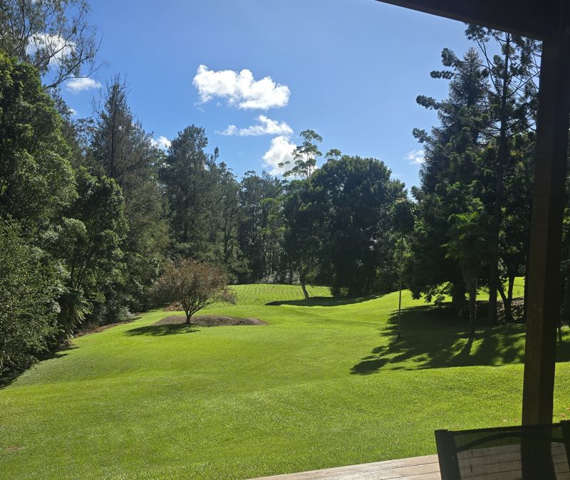 Real Estate in Bellingen