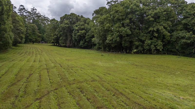 Real Estate in Bellingen