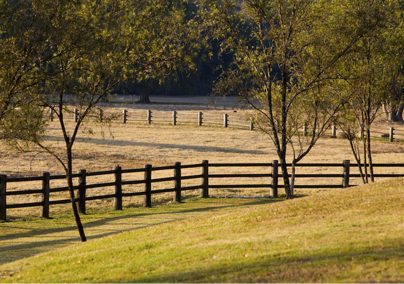 Open for inspection in Bellingen
