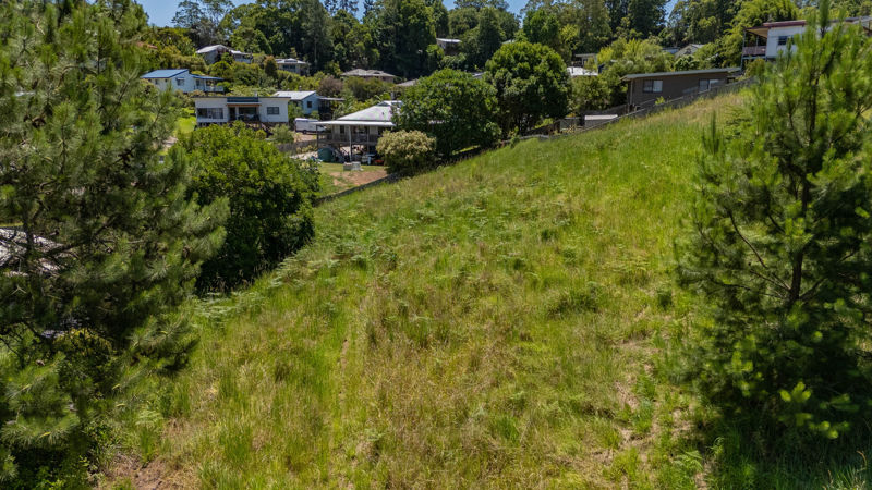 Real Estate in Bellingen