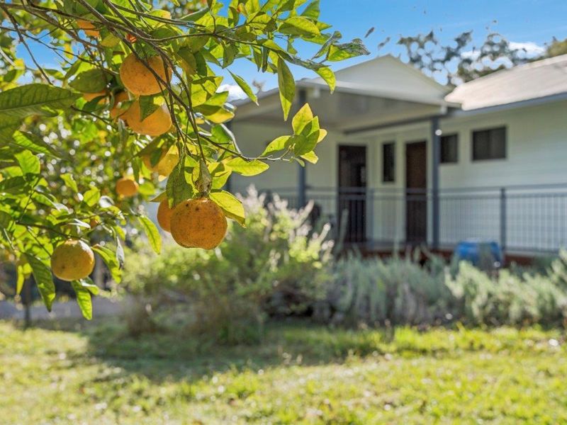 Real Estate in Bellingen