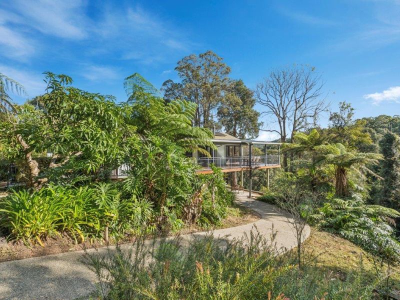 Real Estate in Bellingen