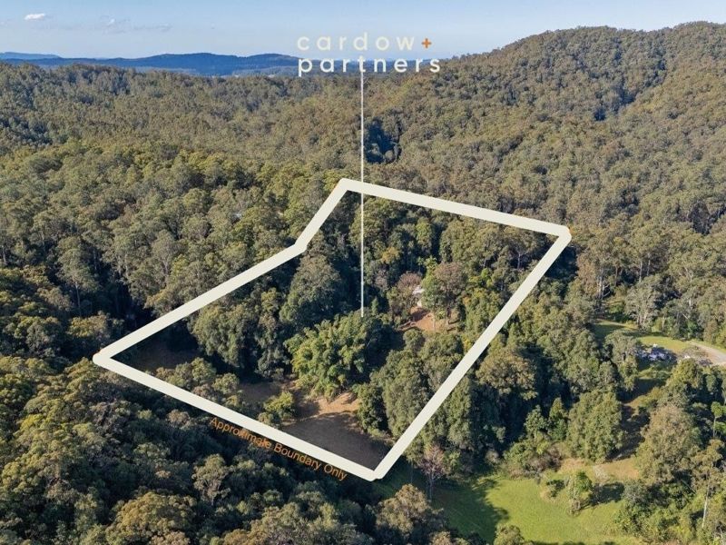 Real Estate in Bellingen