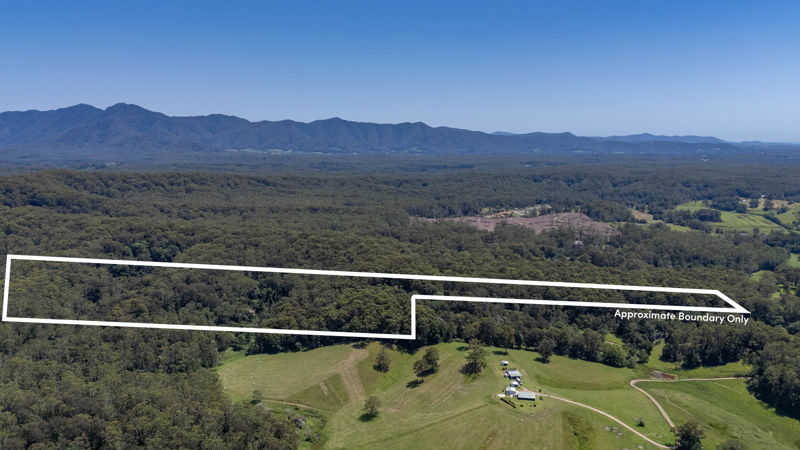 Real Estate in Raleigh