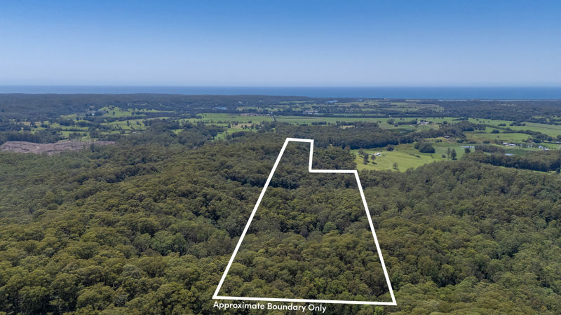 Real Estate in Raleigh