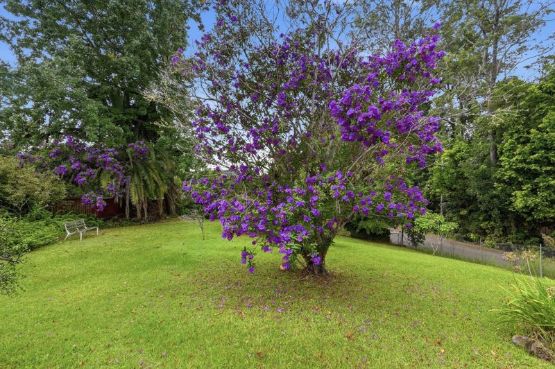 Real Estate in Bellingen
