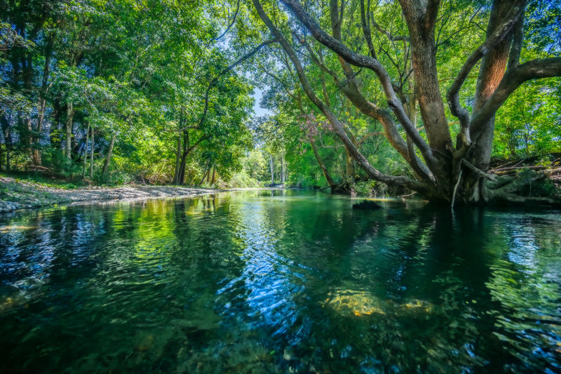 Real Estate in Bellingen
