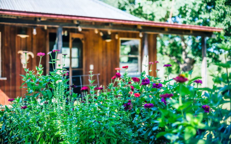 Real Estate in Bellingen