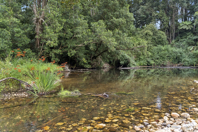 Selling your property in Bellingen