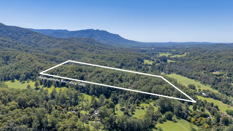 Real Estate in Bellingen