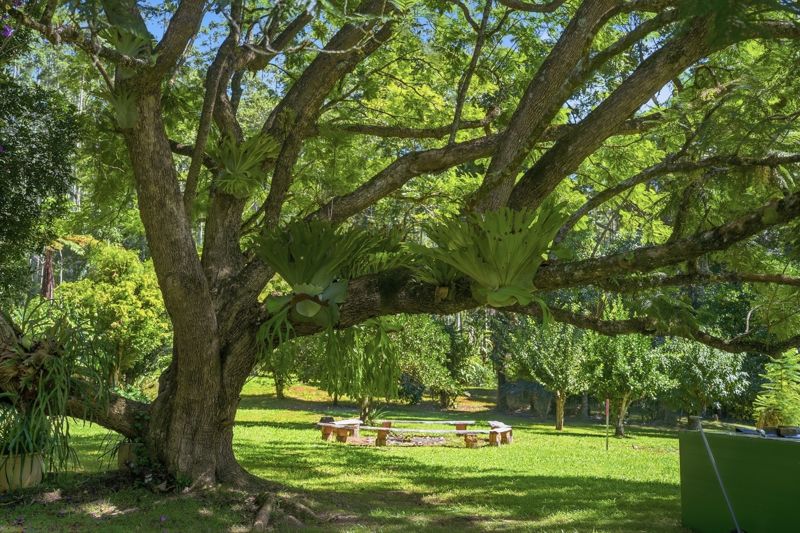 Property in Bellingen - $1.m - $1.1m