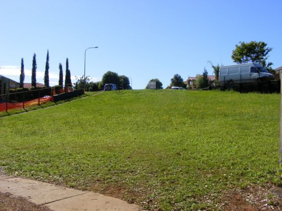 Bellingen Properties Sold