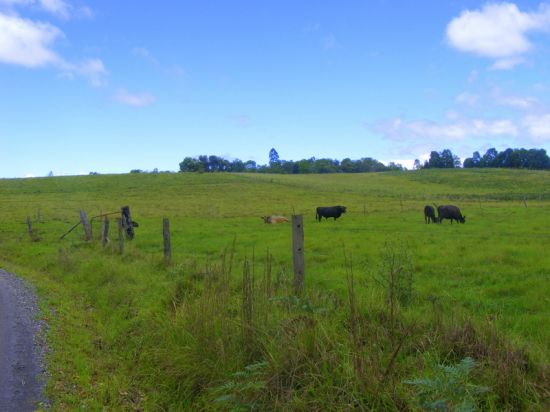 Bellingen Properties Sold