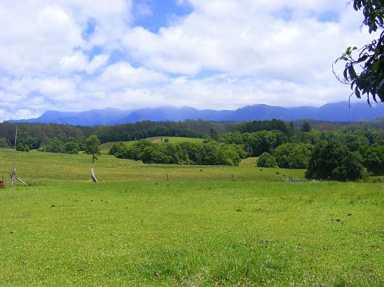 Property Sold in Bellingen