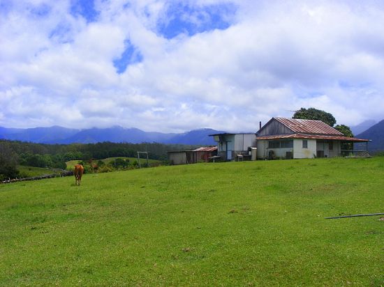 Real Estate in Bellingen