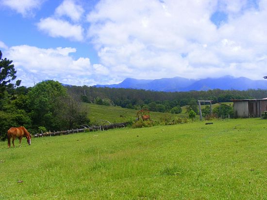 Selling your property in Bellingen