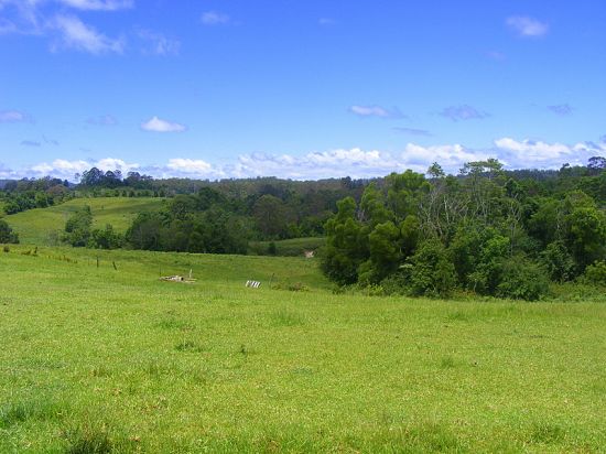 Real Estate in Bellingen