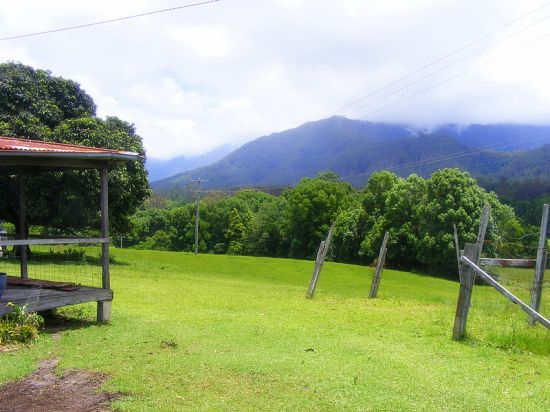 Real Estate in Bellingen