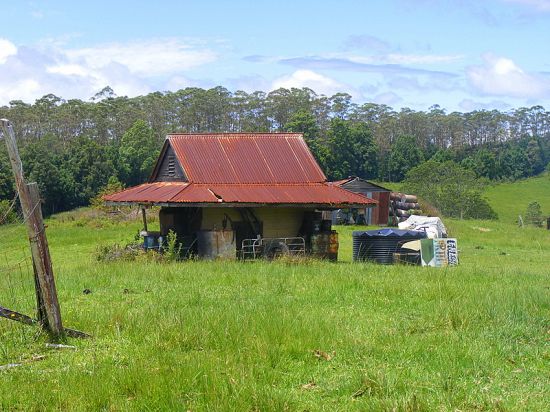 Real Estate in Bellingen