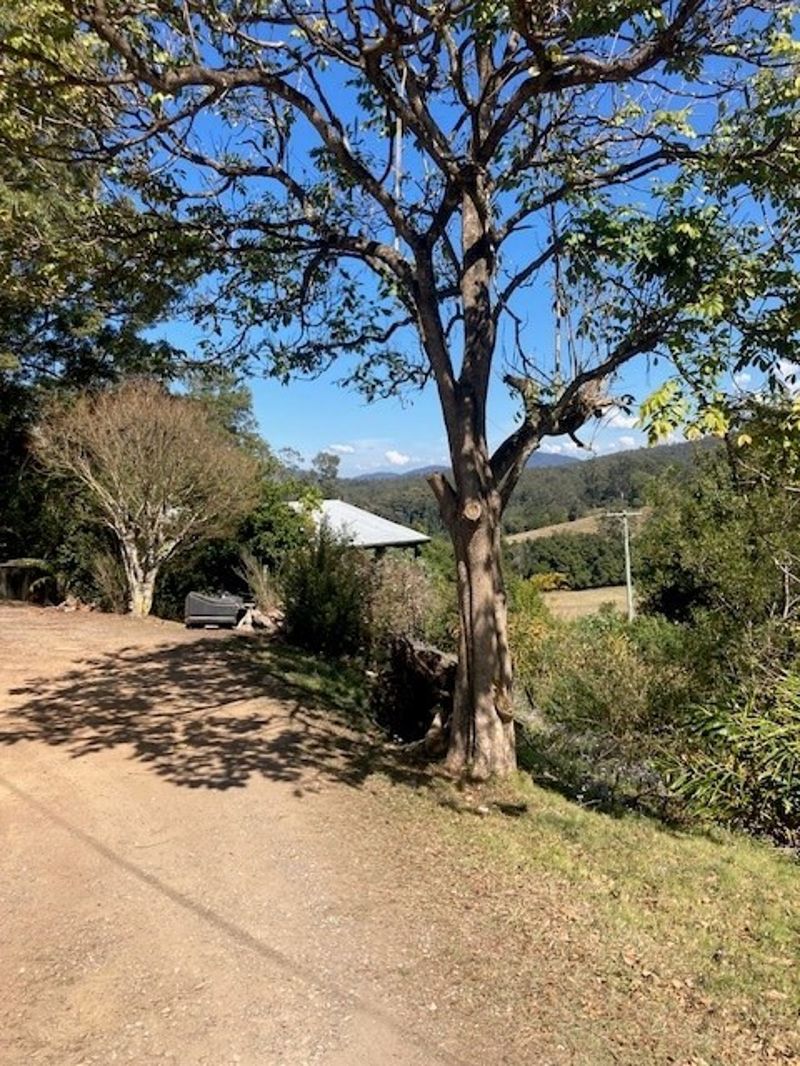 Real Estate in Bellingen