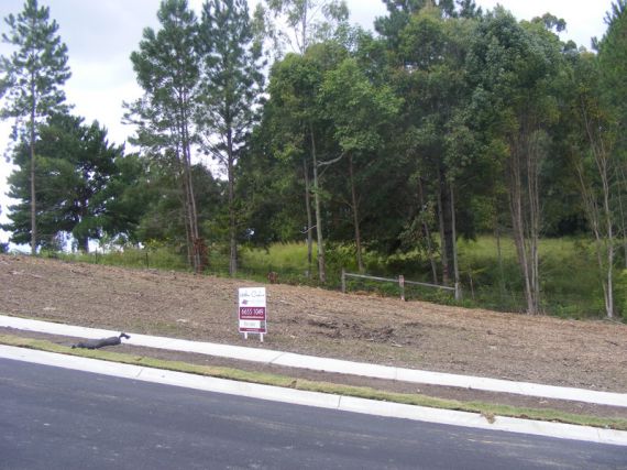 Bellingen Properties Sold