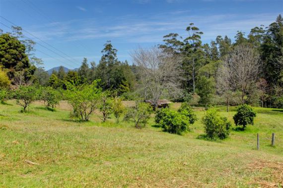 Real Estate in Bellingen