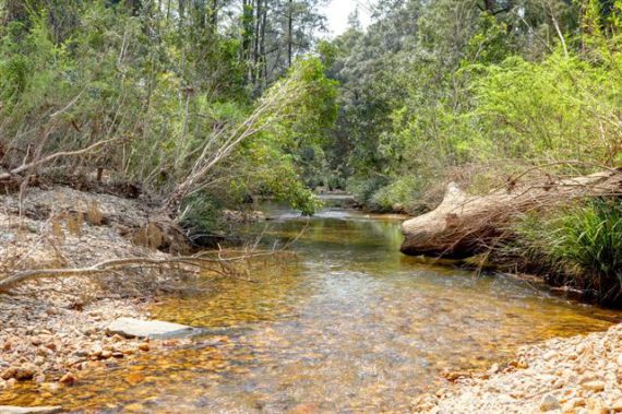 Bellingen real estate Sold