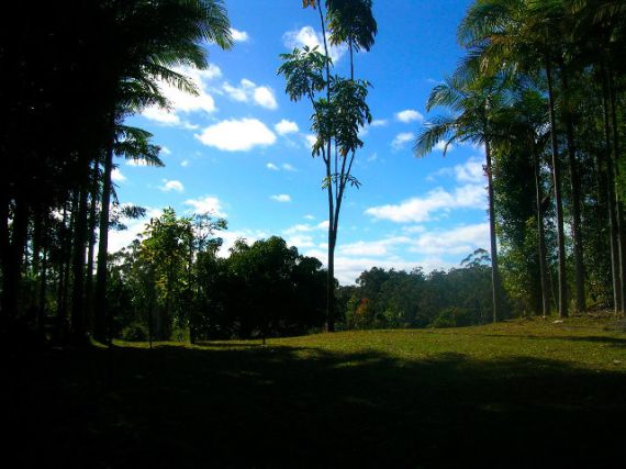 Bellingen Properties Sold