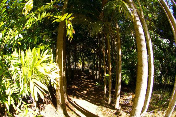 Selling your property in Bellingen
