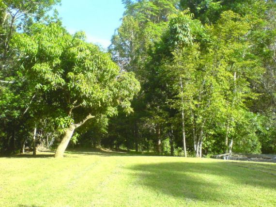 Property Sold in Bellingen