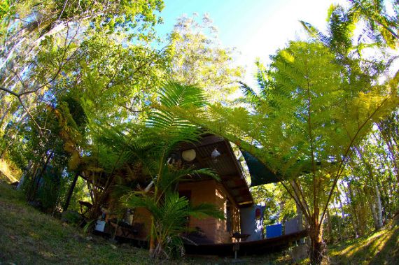 Bellingen Properties Sold