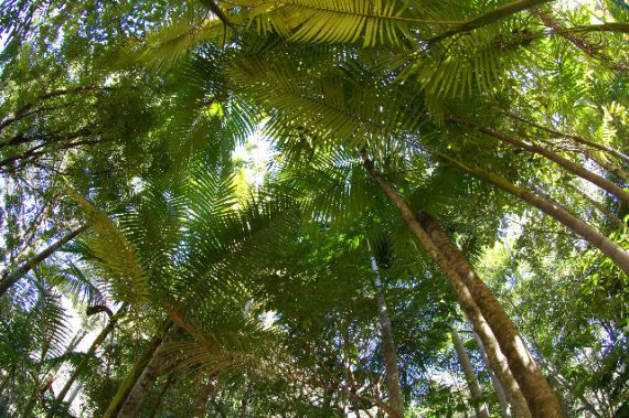 Bellingen real estate Sold