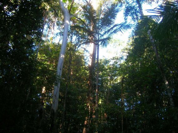 Real Estate in Bellingen