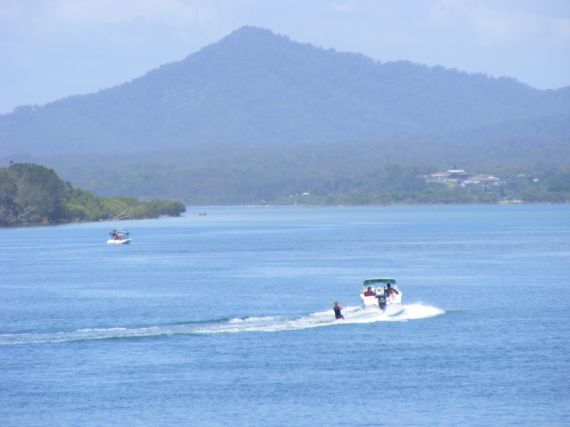 Real Estate in Bellingen