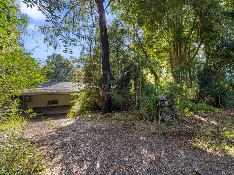 Real Estate in Bellingen