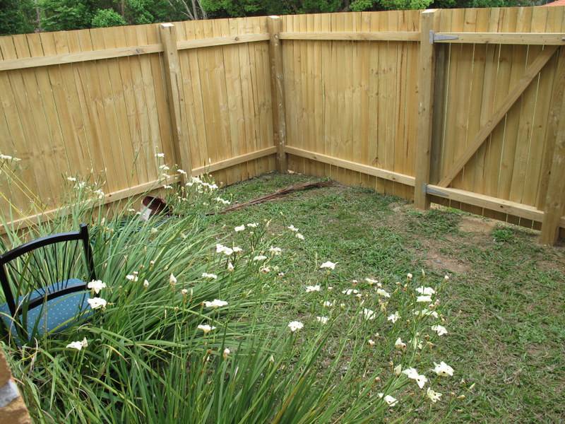 Selling your property in Bellingen